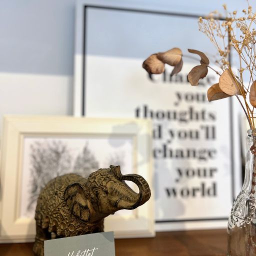 imag Clínica 512 13