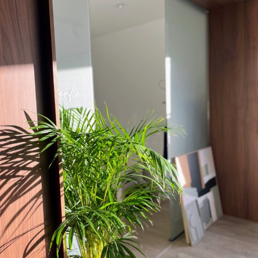 imag Clínica 512 27